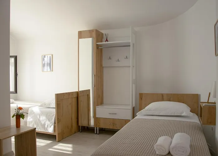 Old Olive Pensionat Tirana